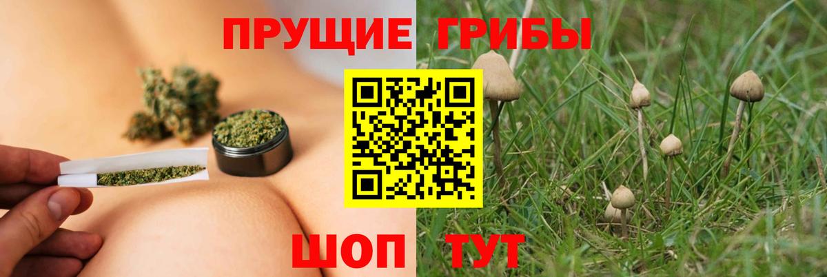 Галлюциногенные грибы GOLDEN TEACHER  Вход с VPN  Истра 